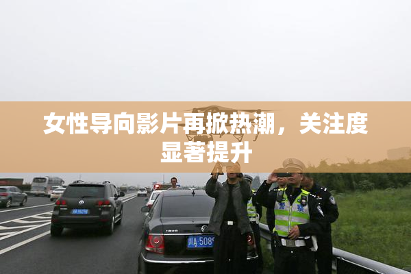 女性导向影片再掀热潮，关注度显著提升