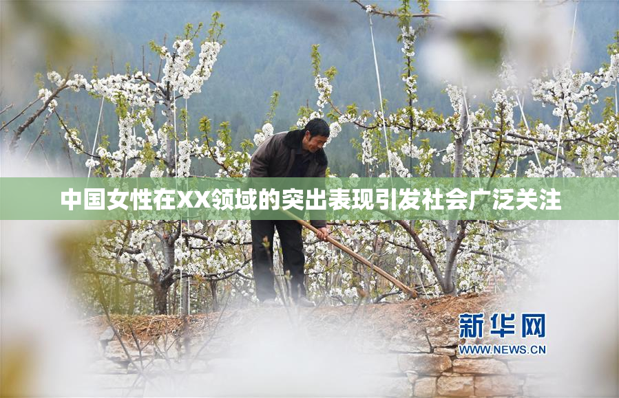 中国女性在XX领域的突出表现引发社会广泛关注