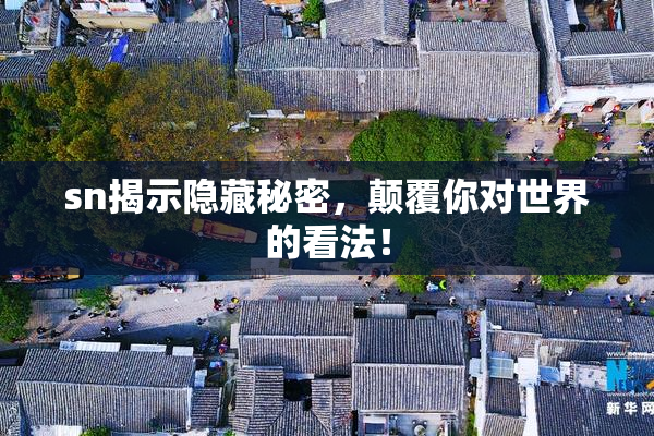 sn揭示隐藏秘密，颠覆你对世界的看法！