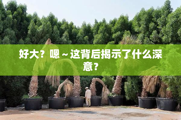 好大？嗯～这背后揭示了什么深意？