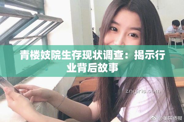 青楼妓院生存现状调查：揭示行业背后故事