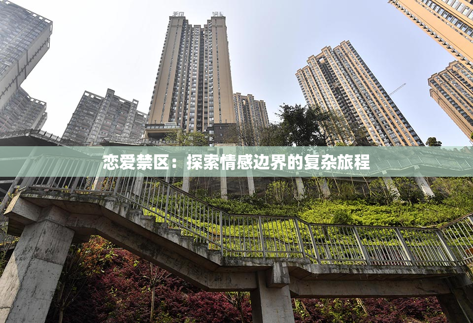 恋爱禁区：探索情感边界的复杂旅程