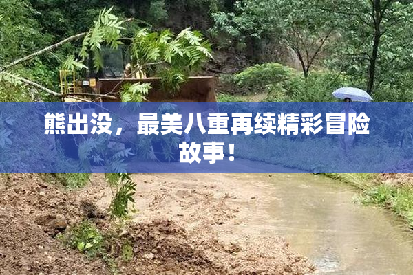 熊出没，最美八重再续精彩冒险故事！