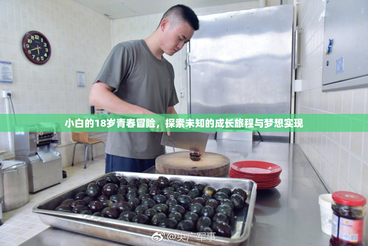 小白的18岁青春冒险，探索未知的成长旅程与梦想实现