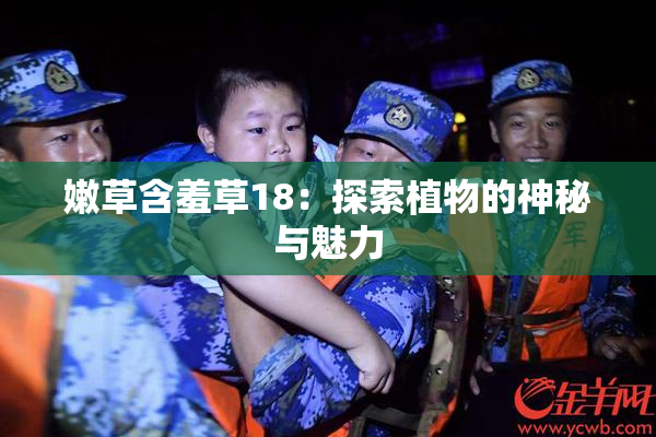 嫩草含羞草18：探索植物的神秘与魅力