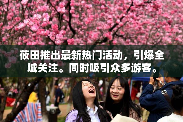 莜田推出最新热门活动，引爆全城关注。同时吸引众多游客。