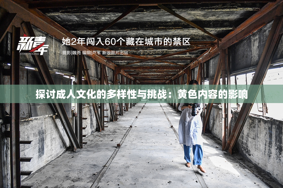 探讨成人文化的多样性与挑战：黄色内容的影响