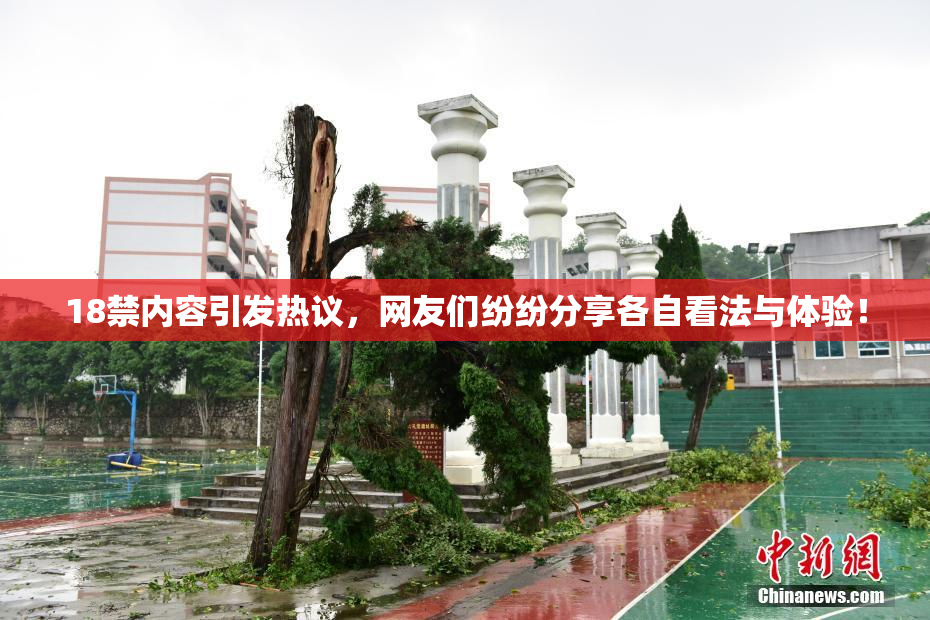 18禁内容引发热议，网友们纷纷分享各自看法与体验！