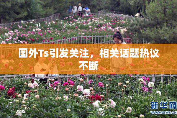 国外Ts引发关注，相关话题热议不断