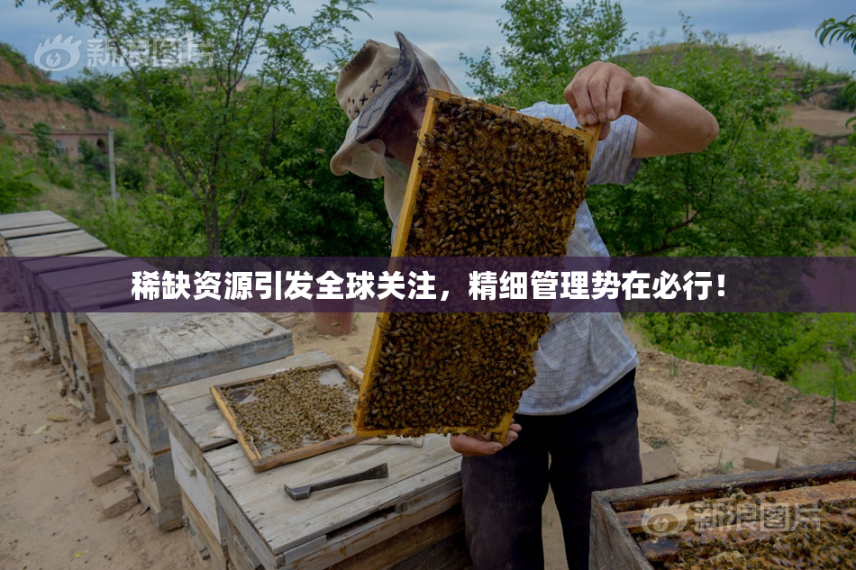 稀缺资源引发全球关注，精细管理势在必行！