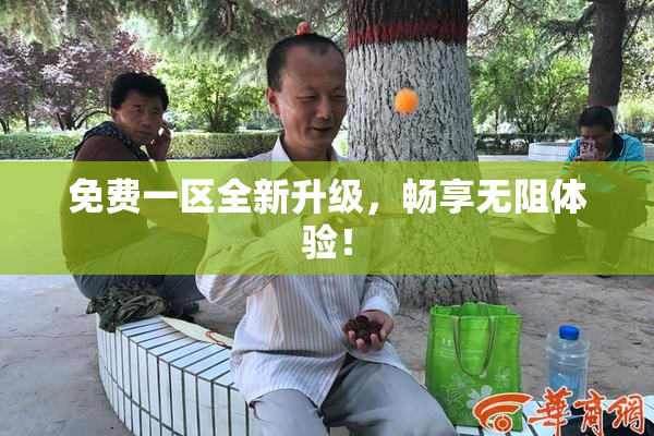 免费一区全新升级，畅享无阻体验！