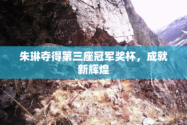 朱琳夺得第三座冠军奖杯，成就新辉煌