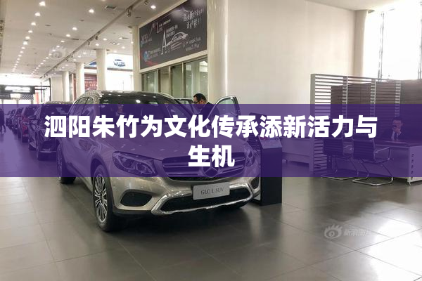 泗阳朱竹为文化传承添新活力与生机