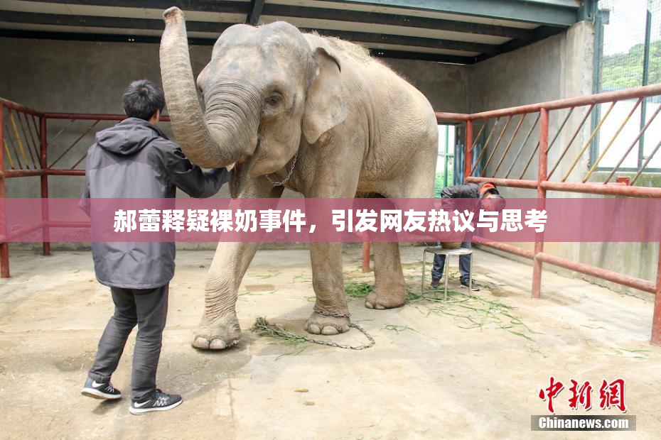 郝蕾释疑裸奶事件，引发网友热议与思考