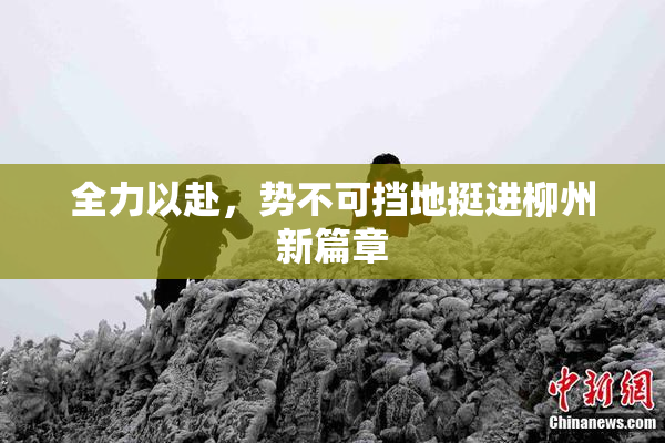 全力以赴，势不可挡地挺进柳州新篇章