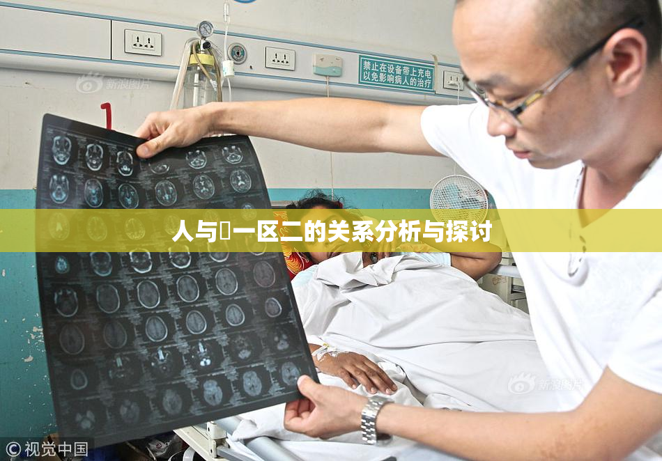 人与嘼一区二的关系分析与探讨