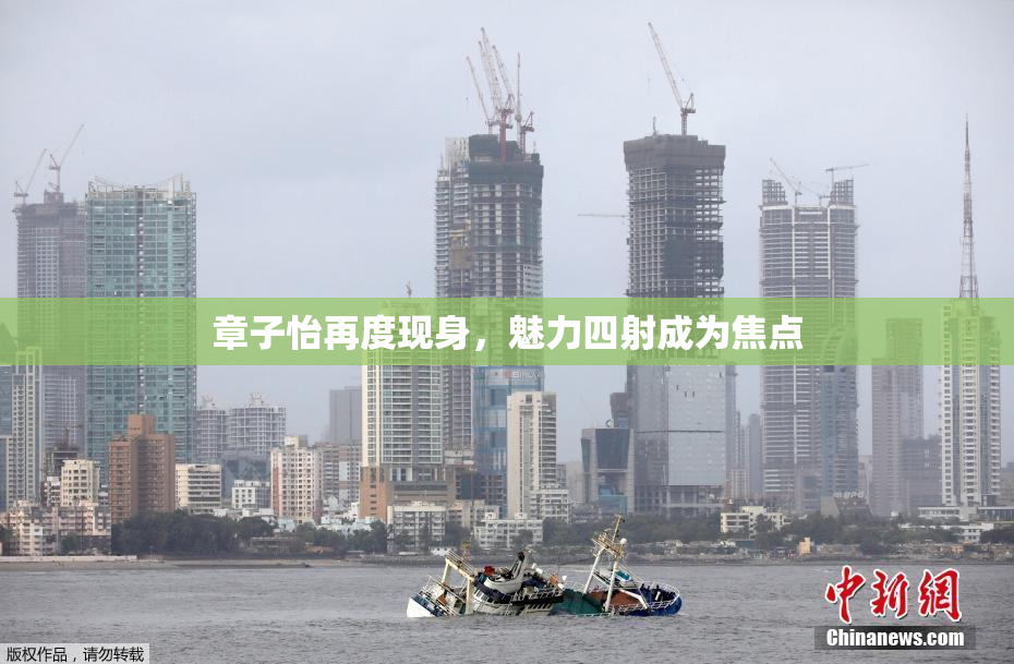 章子怡再度现身，魅力四射成为焦点