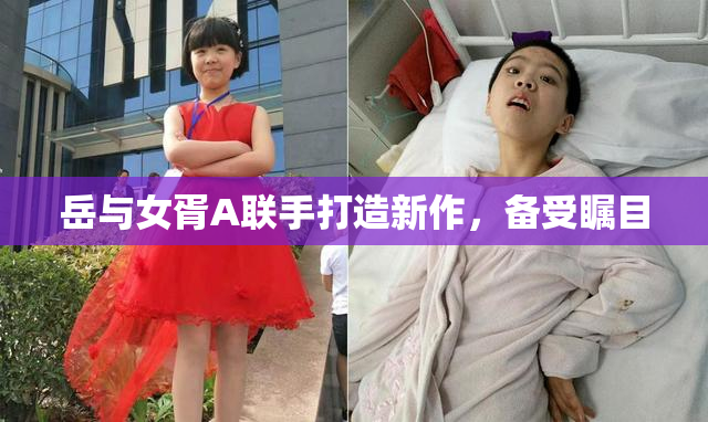 岳与女胥A联手打造新作，备受瞩目