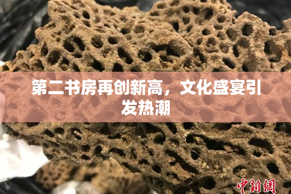 第二书房再创新高，文化盛宴引发热潮