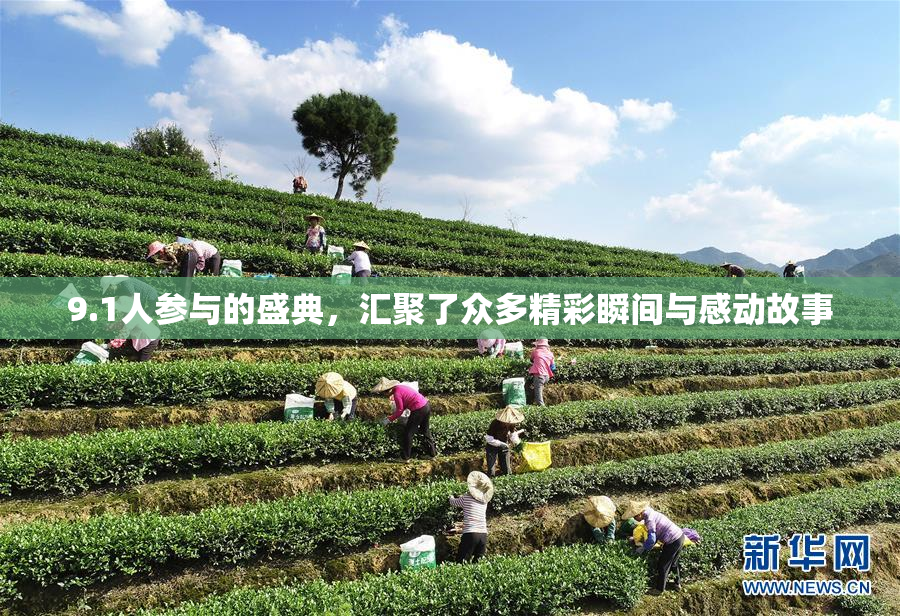 9.1人参与的盛典，汇聚了众多精彩瞬间与感动故事