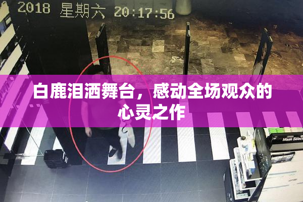 白鹿泪洒舞台，感动全场观众的心灵之作