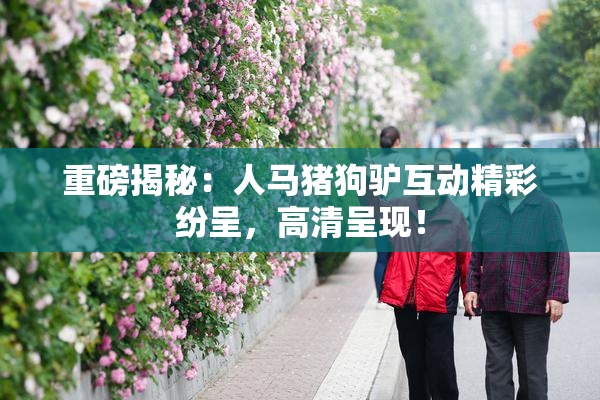 重磅揭秘：人马猪狗驴互动精彩纷呈，高清呈现！