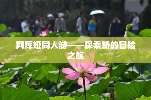 阿库娅同人游——探索新的冒险之旅