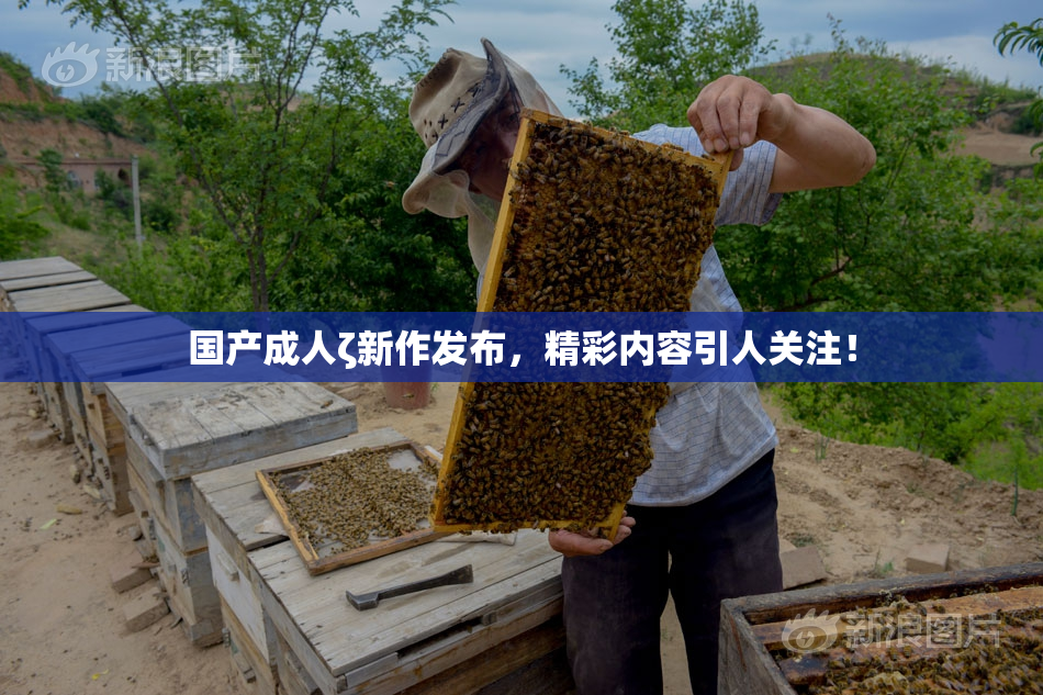 国产成人ζ新作发布，精彩内容引人关注！