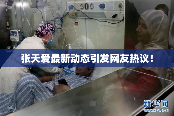 张天爱最新动态引发网友热议！