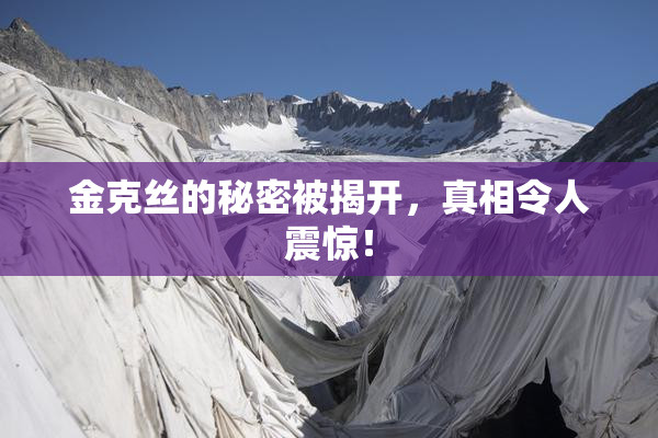 金克丝的秘密被揭开，真相令人震惊！