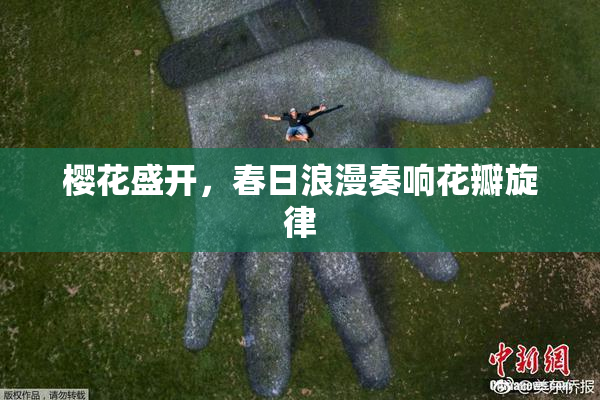 樱花盛开，春日浪漫奏响花瓣旋律