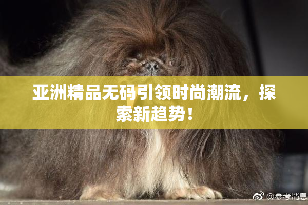 亚洲精品无码引领时尚潮流，探索新趋势！