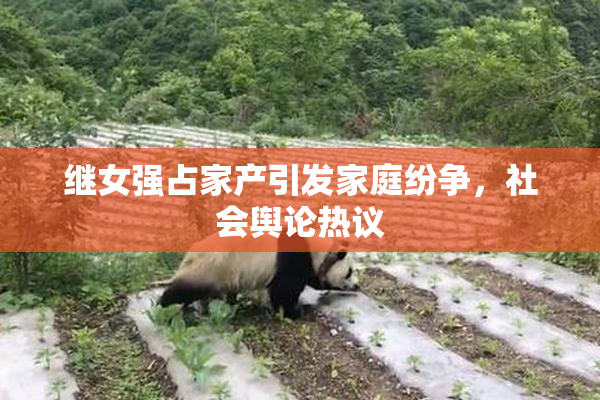 继女强占家产引发家庭纷争，社会舆论热议