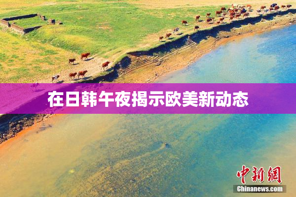 在日韩午夜揭示欧美新动态