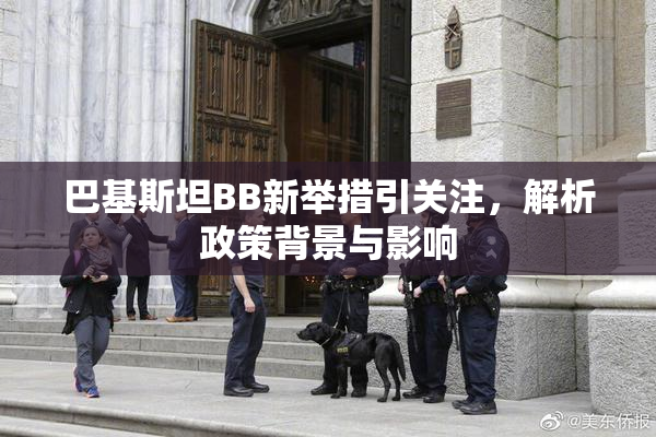 巴基斯坦BB新举措引关注，解析政策背景与影响