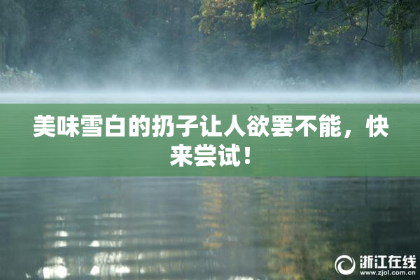 美味雪白的扔子让人欲罢不能，快来尝试！