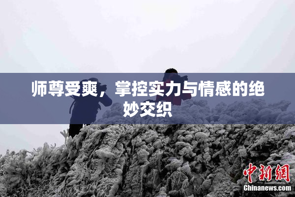 师尊受爽，掌控实力与情感的绝妙交织