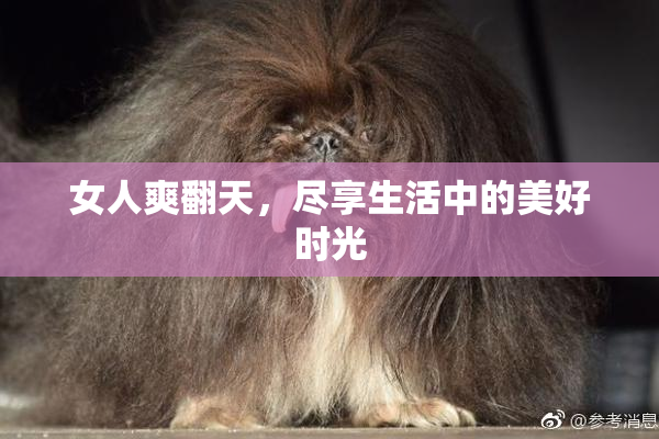 女人爽翻天，尽享生活中的美好时光