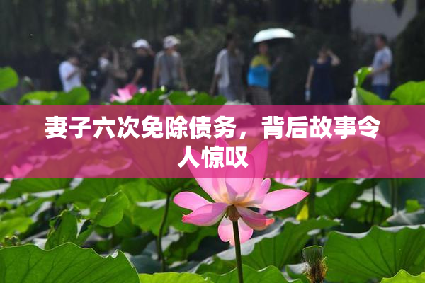 妻子六次免除债务，背后故事令人惊叹