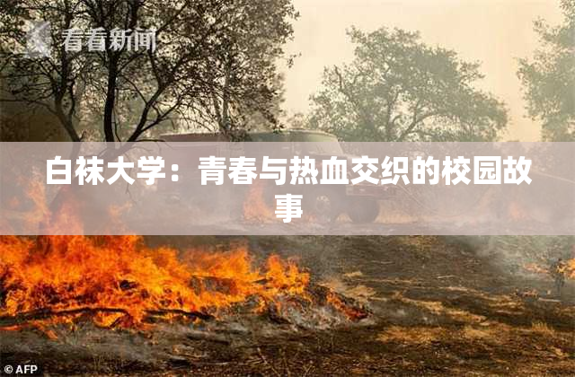 白袜大学：青春与热血交织的校园故事