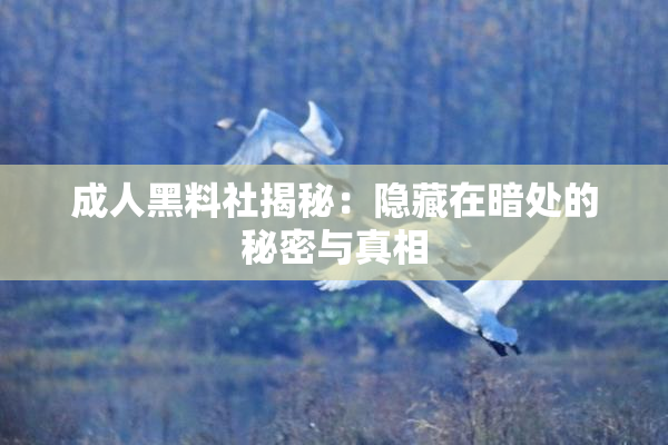 成人黑料社揭秘：隐藏在暗处的秘密与真相