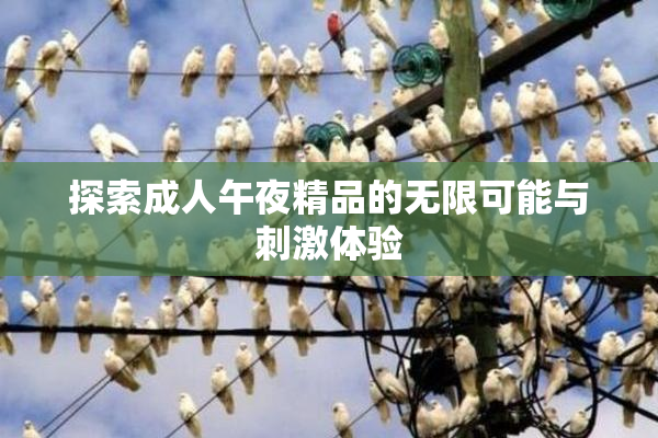 探索成人午夜精品的无限可能与刺激体验
