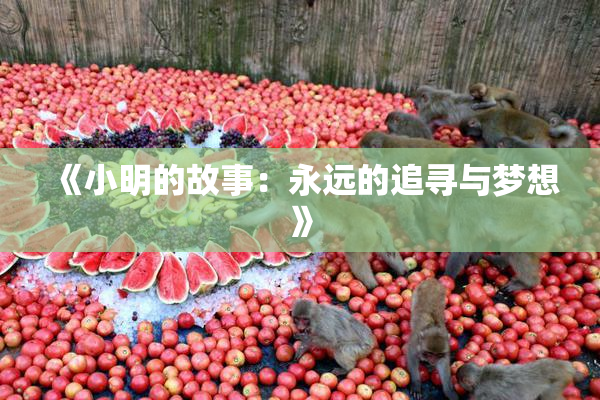 《小明的故事：永远的追寻与梦想》