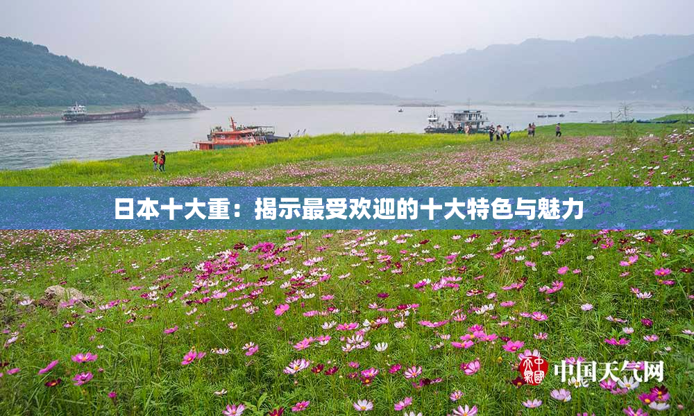 日本十大重：揭示最受欢迎的十大特色与魅力