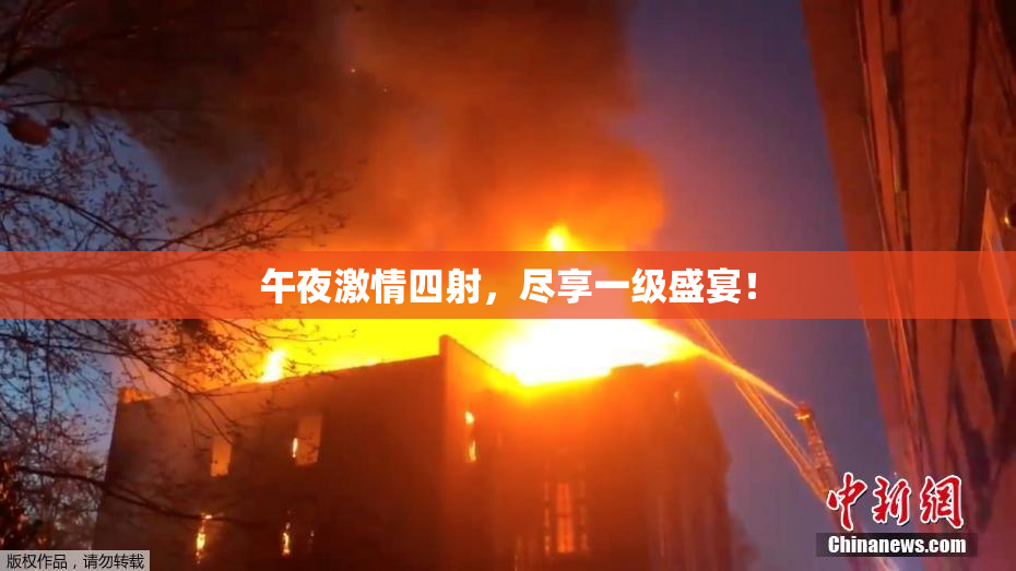 午夜激情四射，尽享一级盛宴！