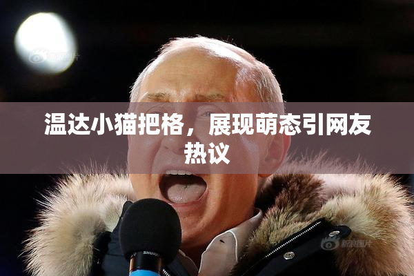 温达小猫把格，展现萌态引网友热议