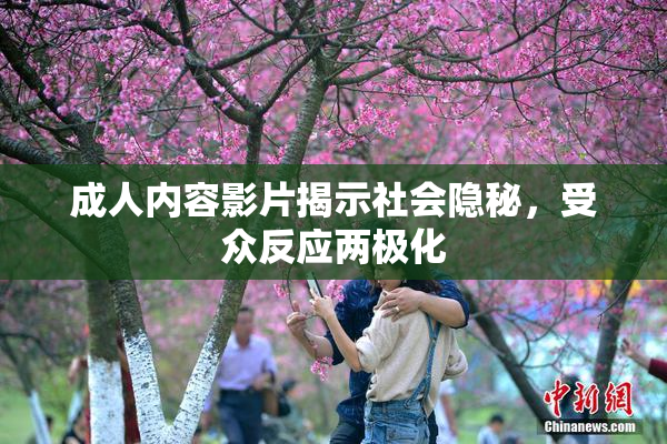 成人内容影片揭示社会隐秘，受众反应两极化
