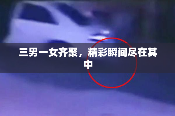 三男一女齐聚，精彩瞬间尽在其中