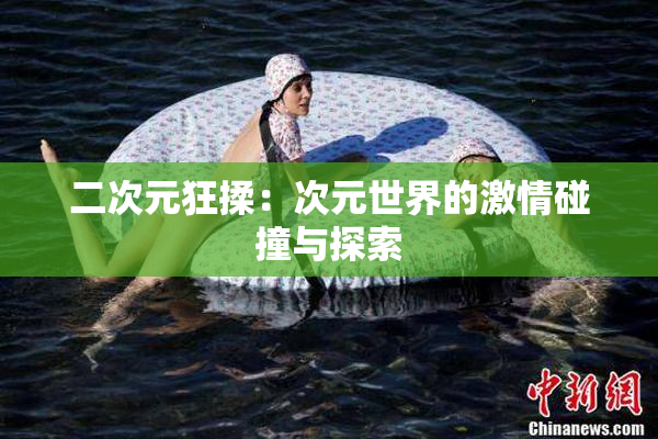 二次元狂揉：次元世界的激情碰撞与探索