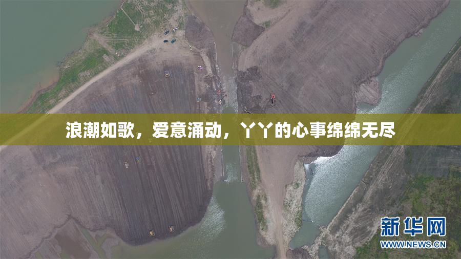 浪潮如歌，爱意涌动，丫丫的心事绵绵无尽